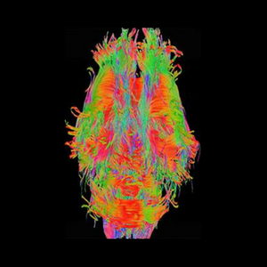 Preclinical Imaging Innovation