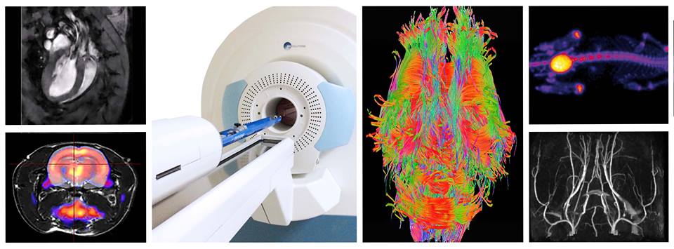 Innovation in Magnetic Resonance Imaging (MRI)